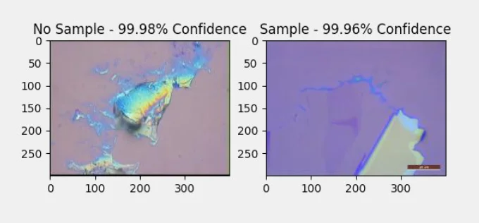 Image sample identification with confidence